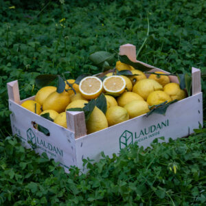 Limoni Femminello